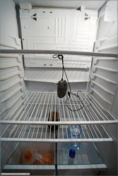 Студенты СРОЧНО ищут холодильник