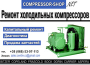 «Compressor-shop» Промышленный спец сервис по ремонт холодильных компр